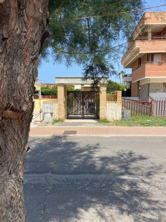 immagine annuncio 5 di 14