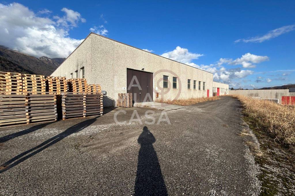 immagine annuncio 12 di 15