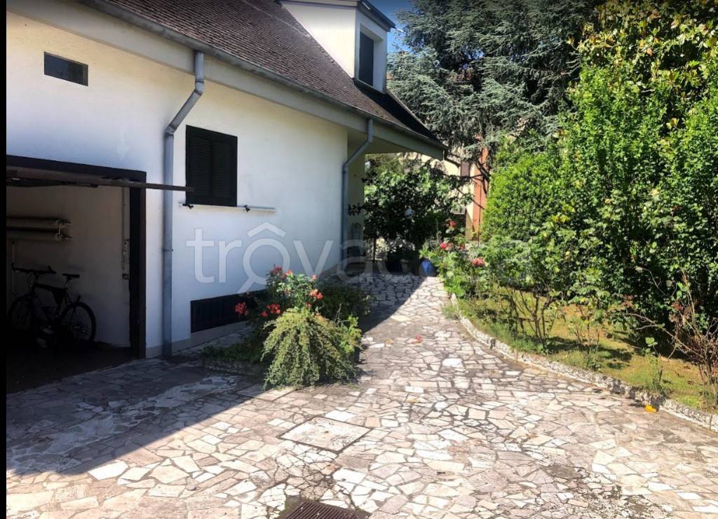immagine annuncio 2 di 12