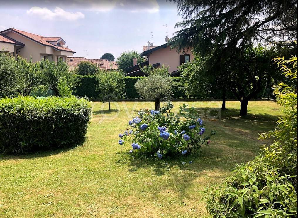 immagine annuncio 8 di 12
