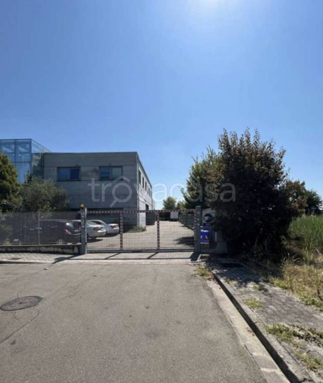 immagine annuncio 6 di 13