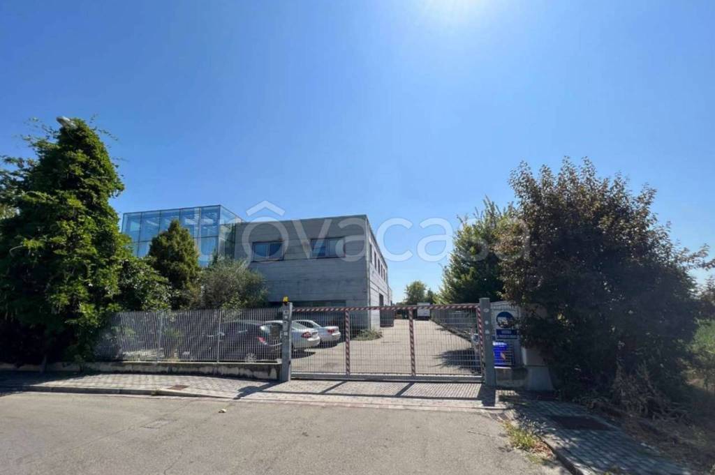 immagine annuncio 8 di 13