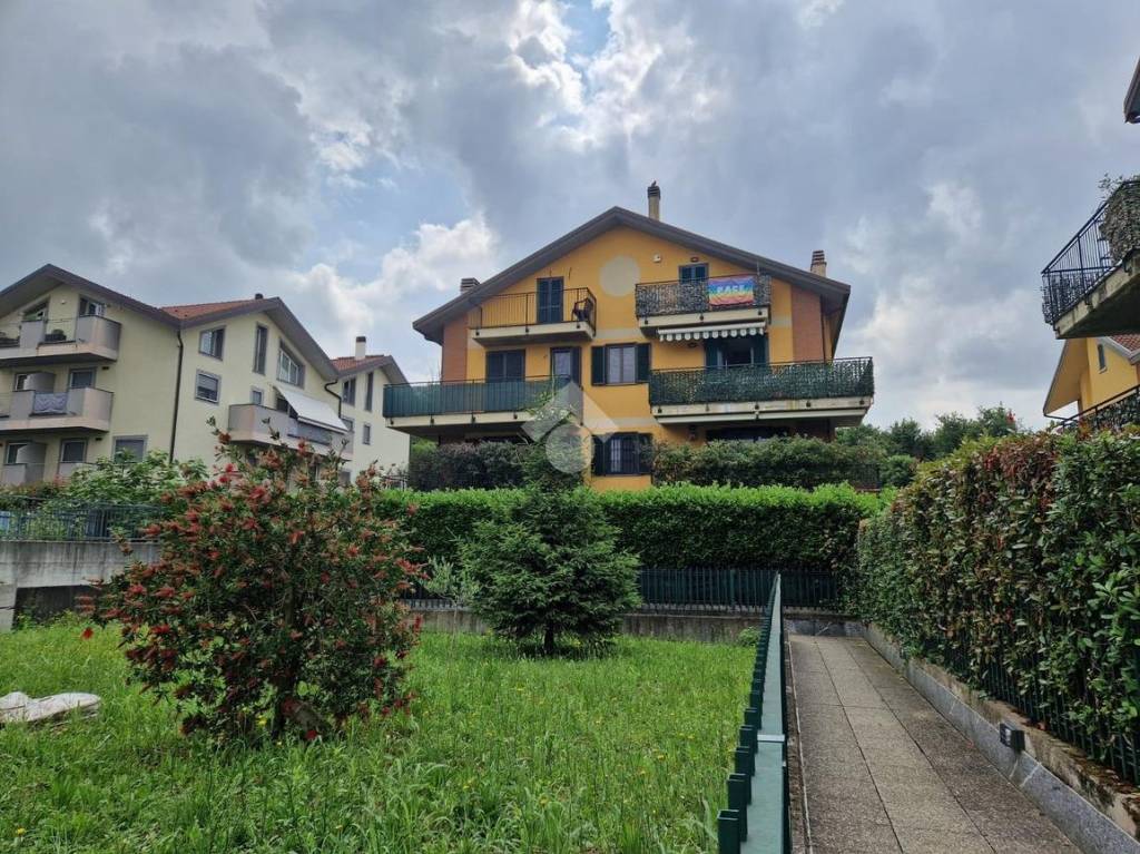 immagine annuncio 2 di 15