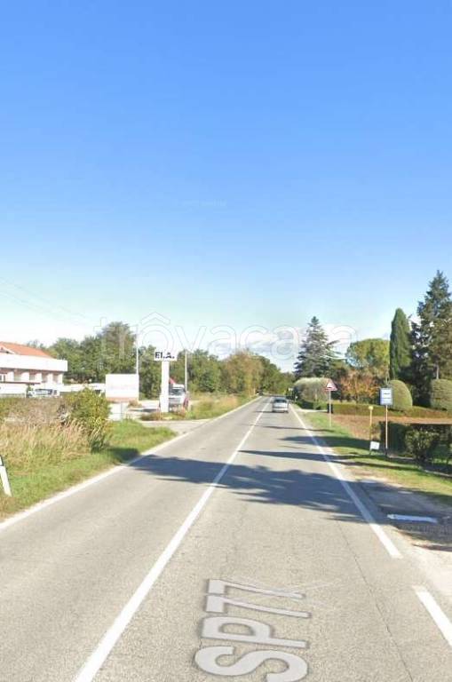 immagine annuncio 2 di 12