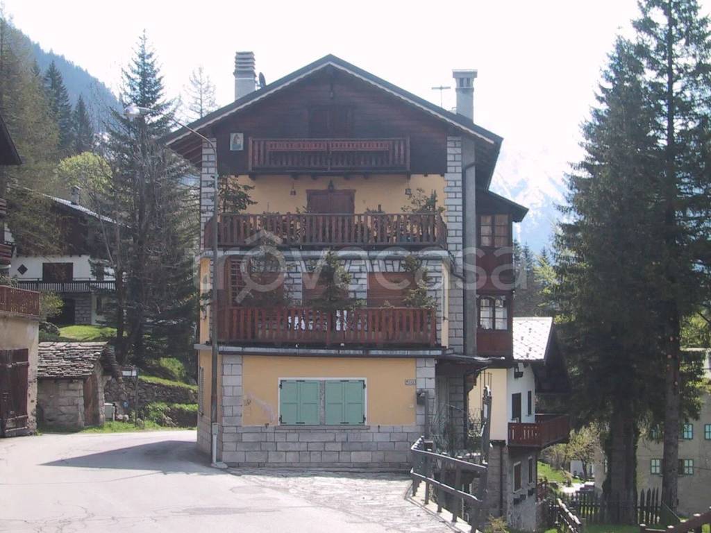 immagine annuncio 1 di 12