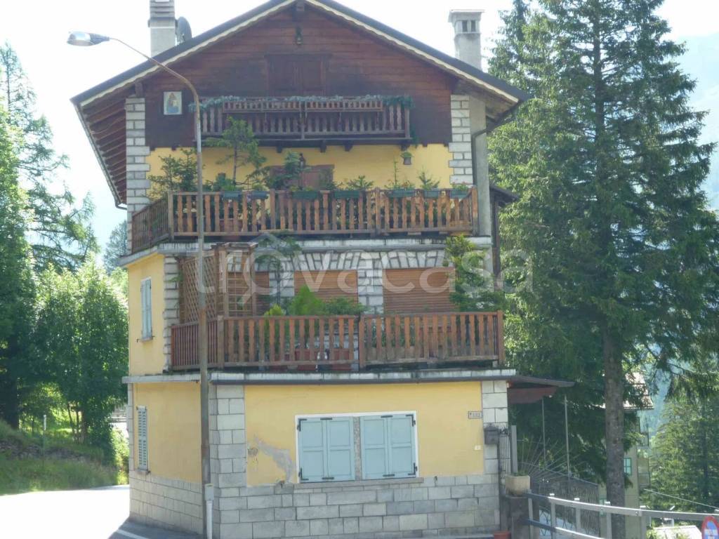 immagine annuncio 2 di 12