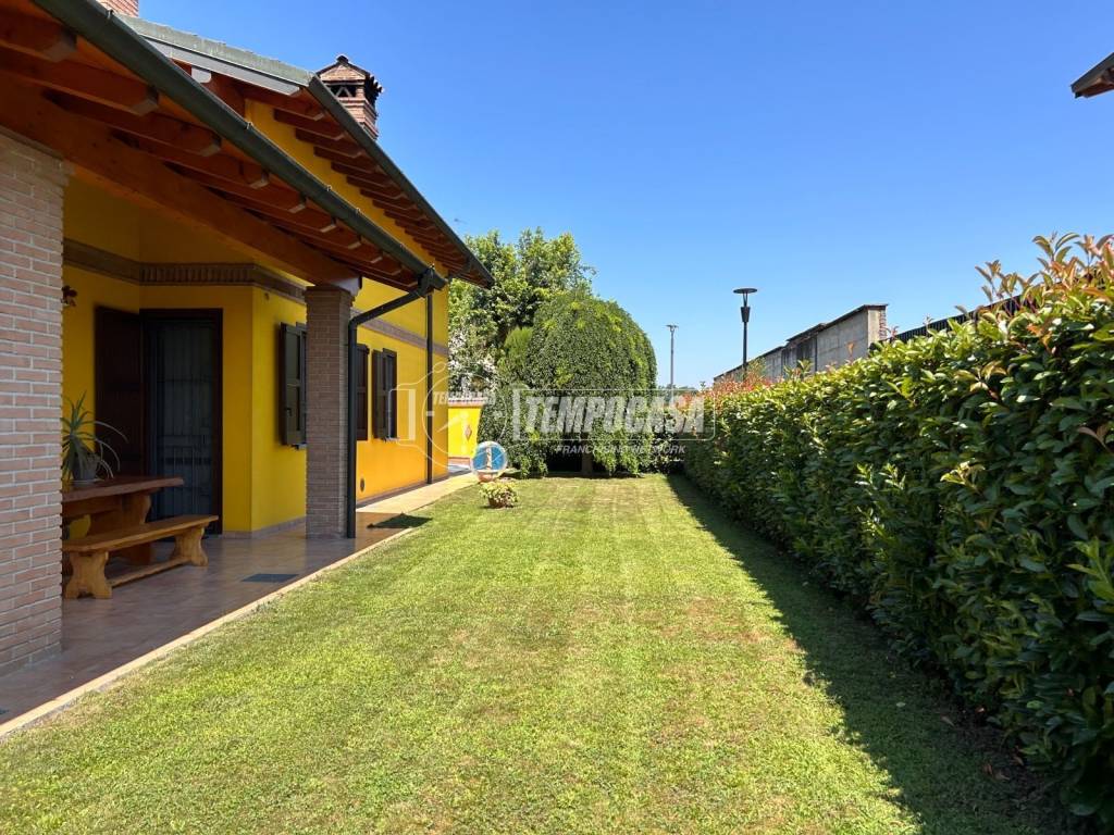 immagine annuncio 12 di 15