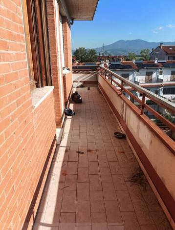 immagine annuncio 6 di 8