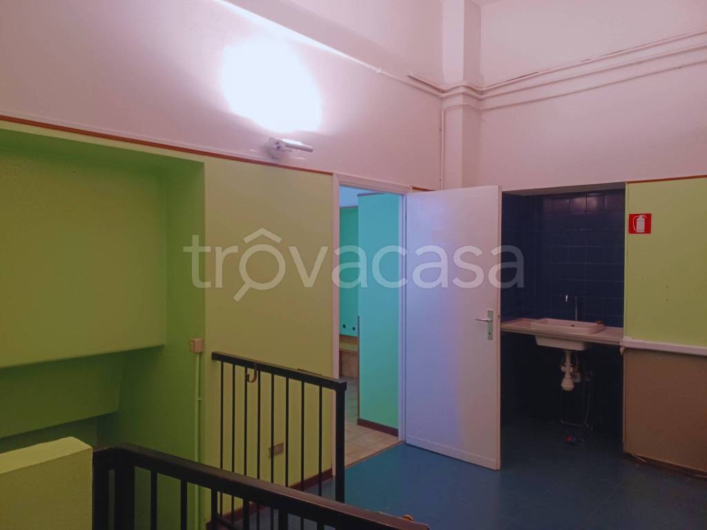 immagine annuncio 5 di 12