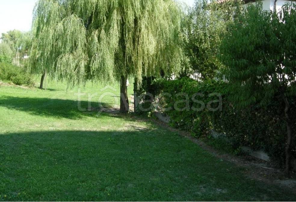 immagine annuncio 10 di 14