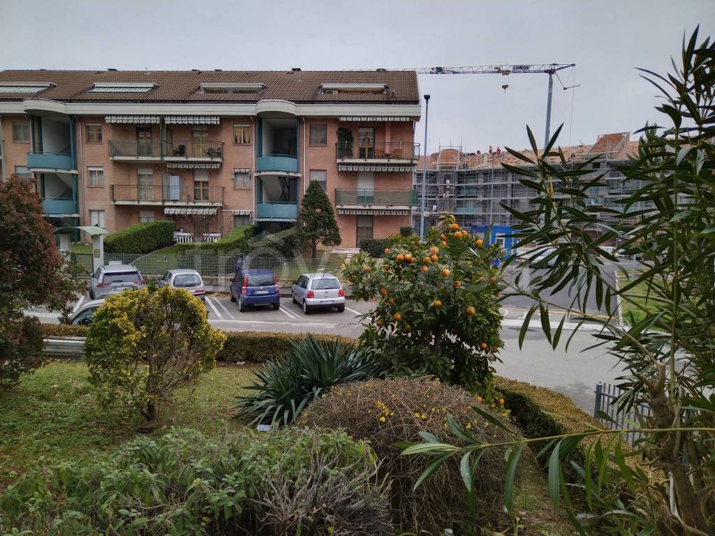 immagine annuncio 8 di 15