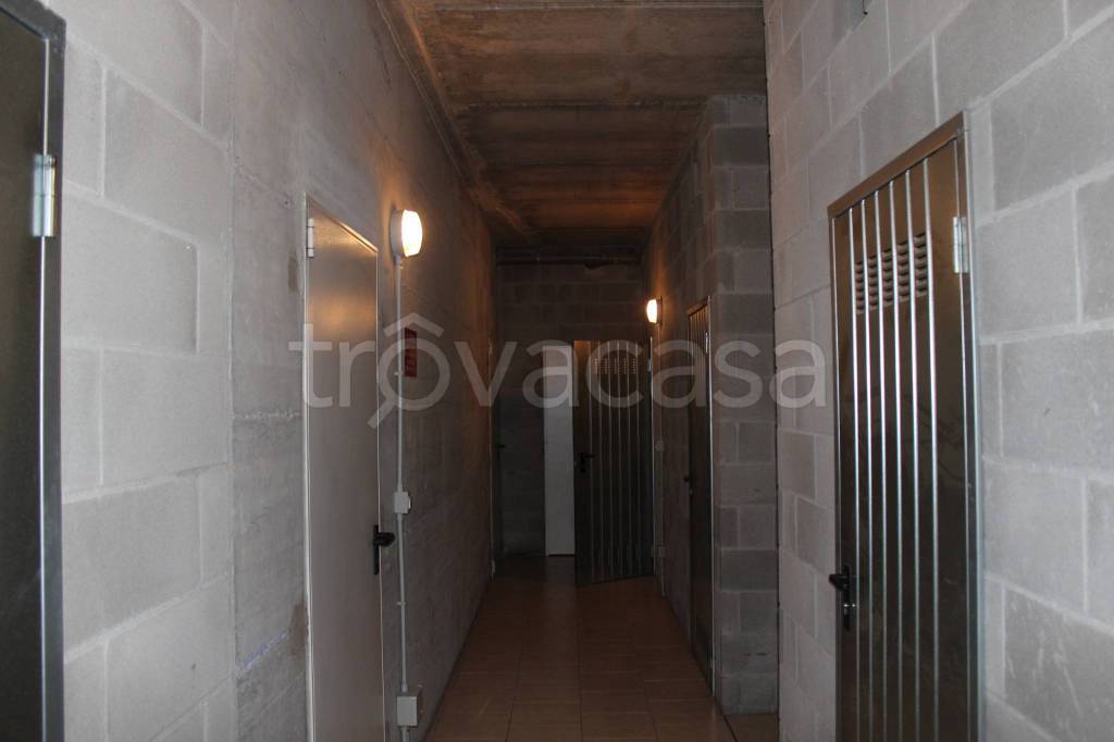 immagine annuncio 11 di 13