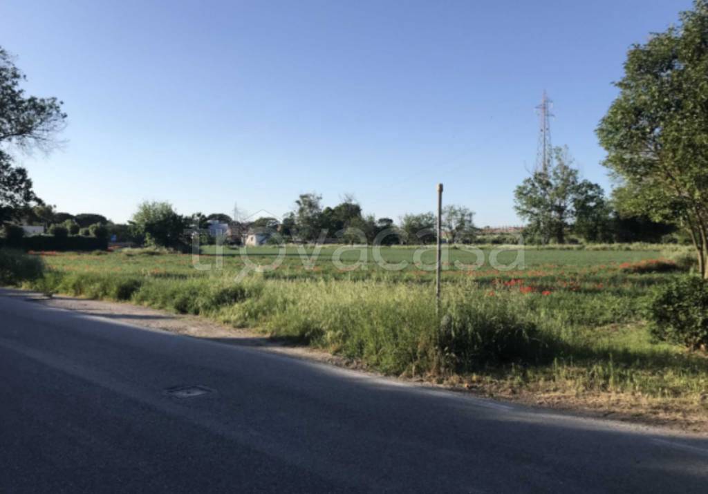 immagine annuncio 8 di 11