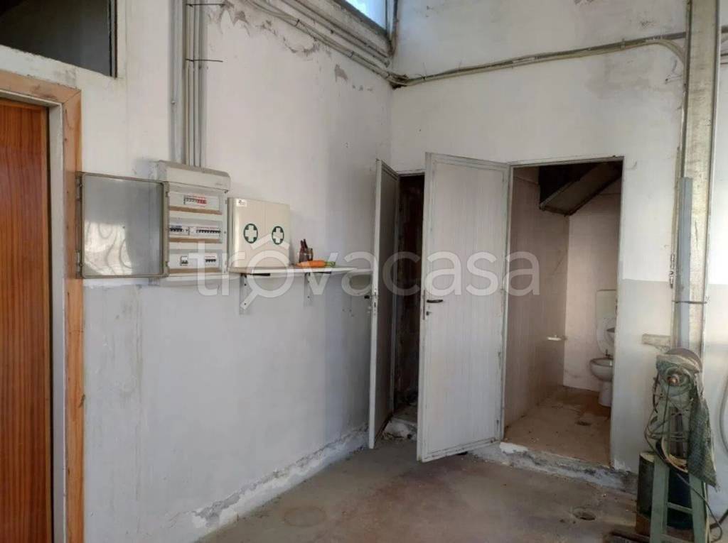 immagine annuncio 5 di 6