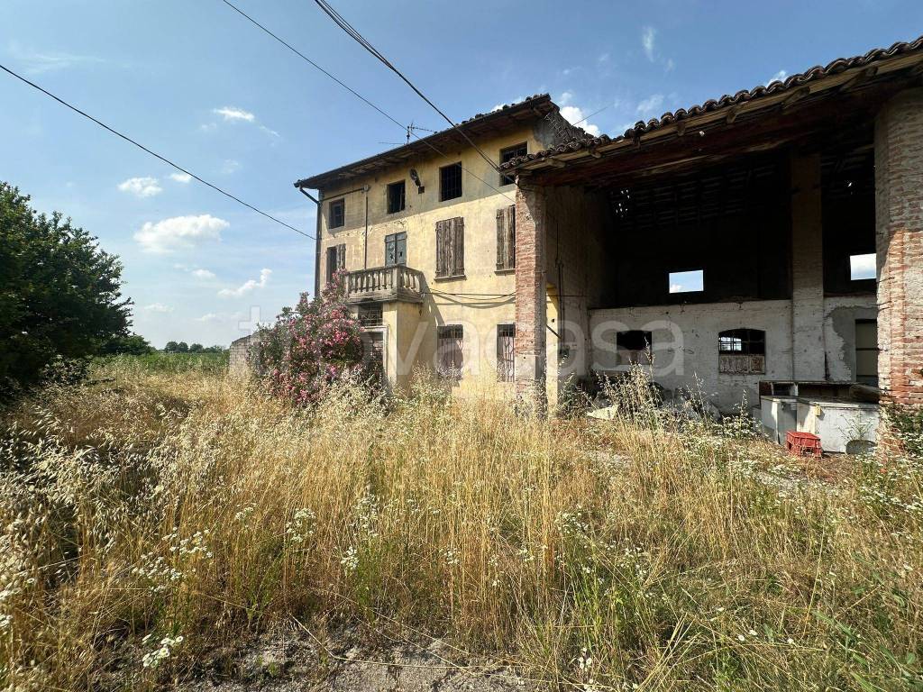 immagine annuncio 3 di 7