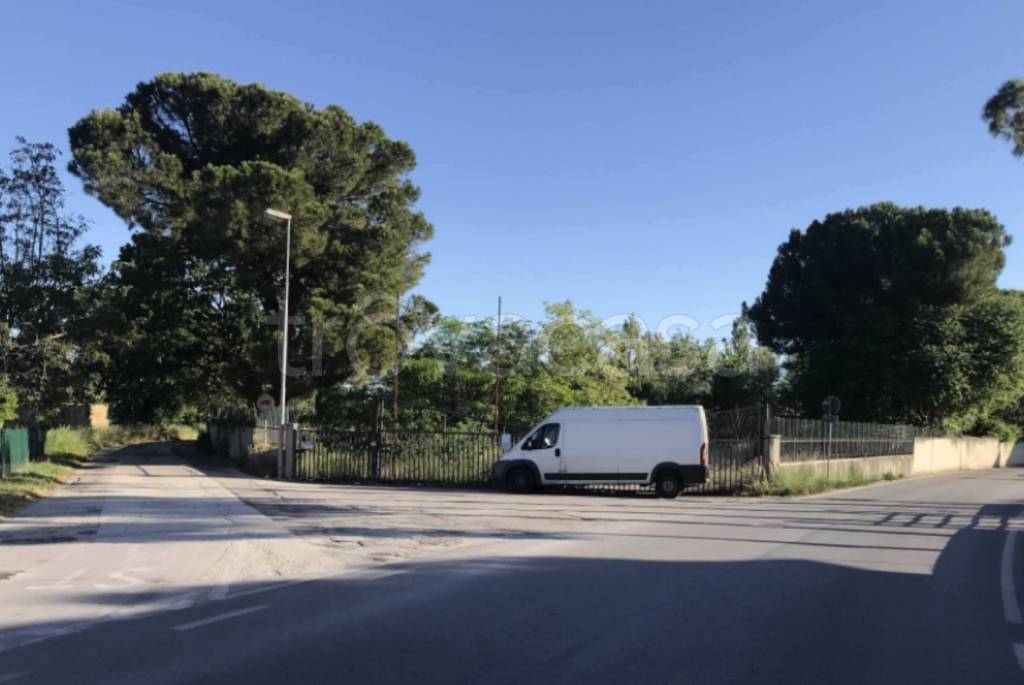 immagine annuncio 6 di 11