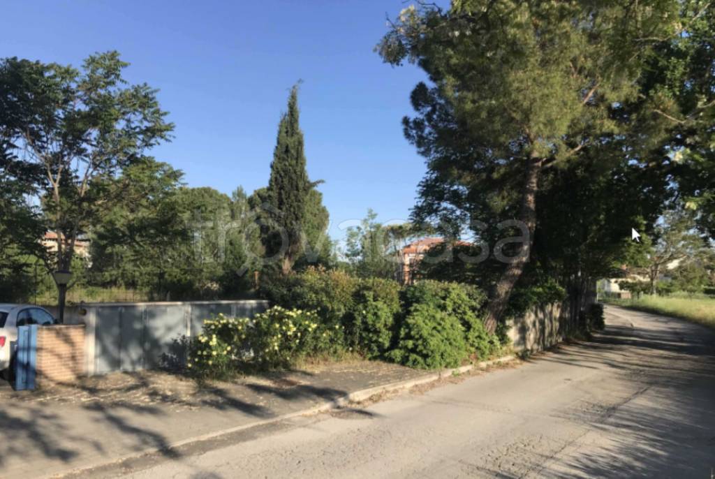 immagine annuncio 7 di 11