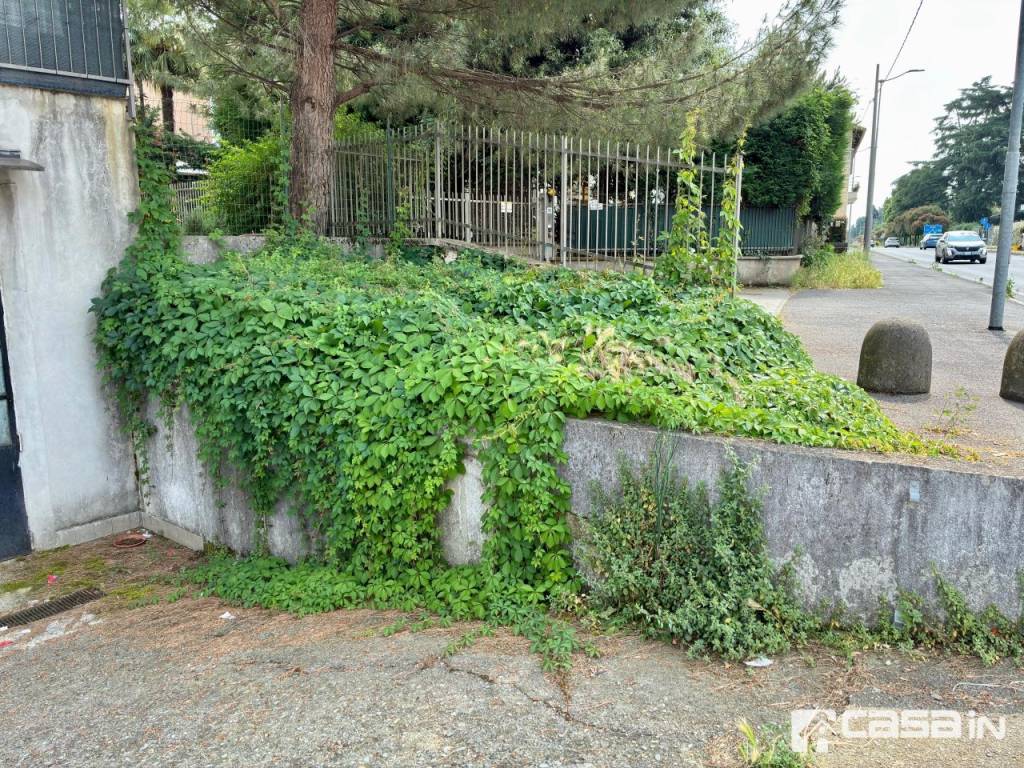 immagine annuncio 3 di 11