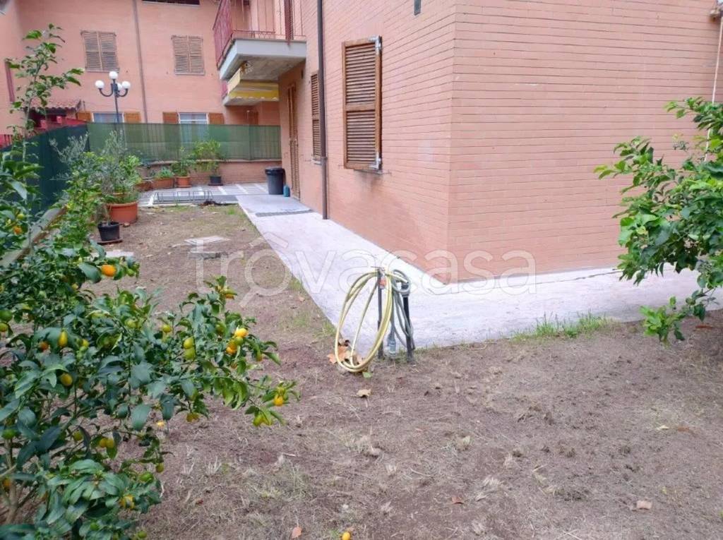 immagine annuncio 8 di 14