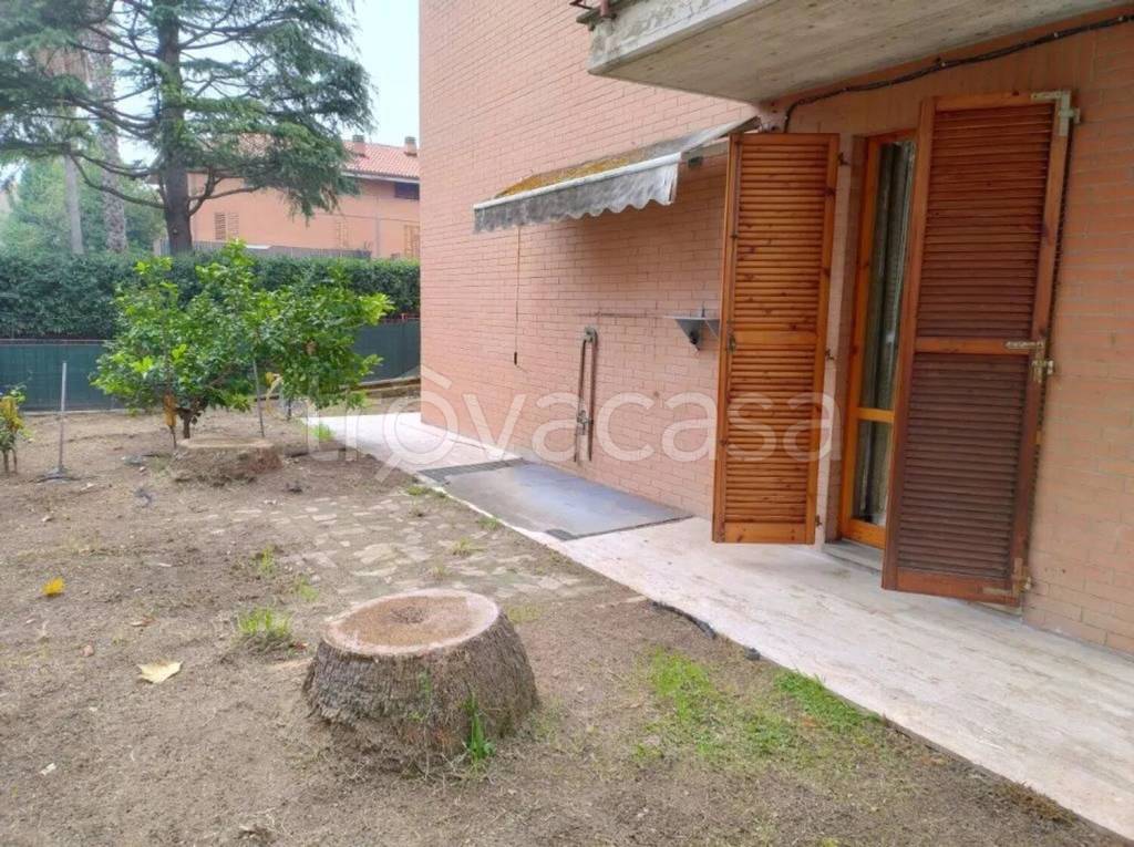 immagine annuncio 12 di 14