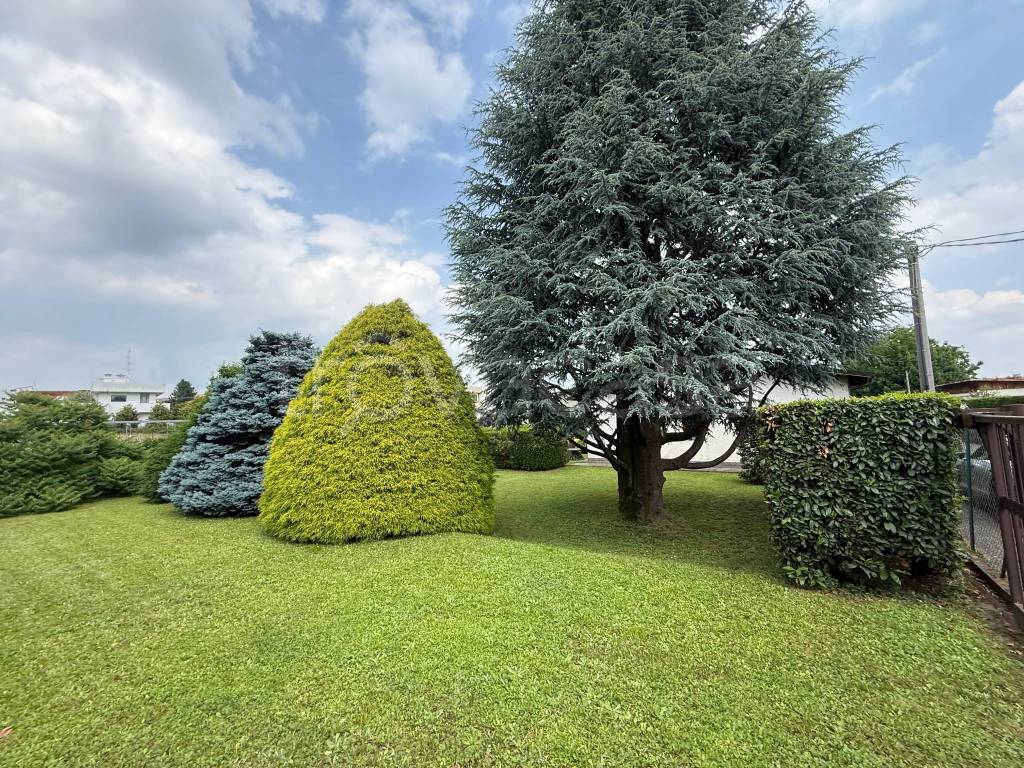 immagine annuncio 6 di 11