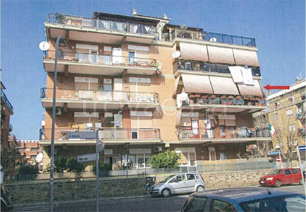 immagine annuncio 1 di 10
