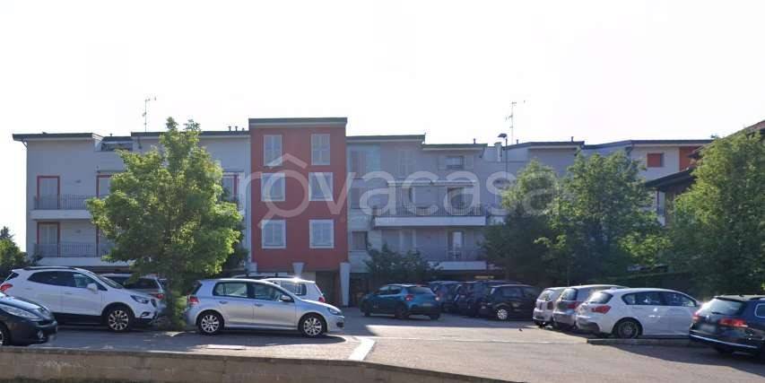 immagine annuncio 5 di 15