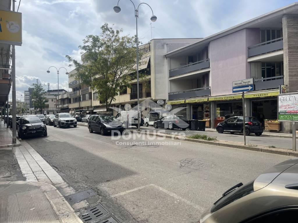 immagine annuncio 1 di 6