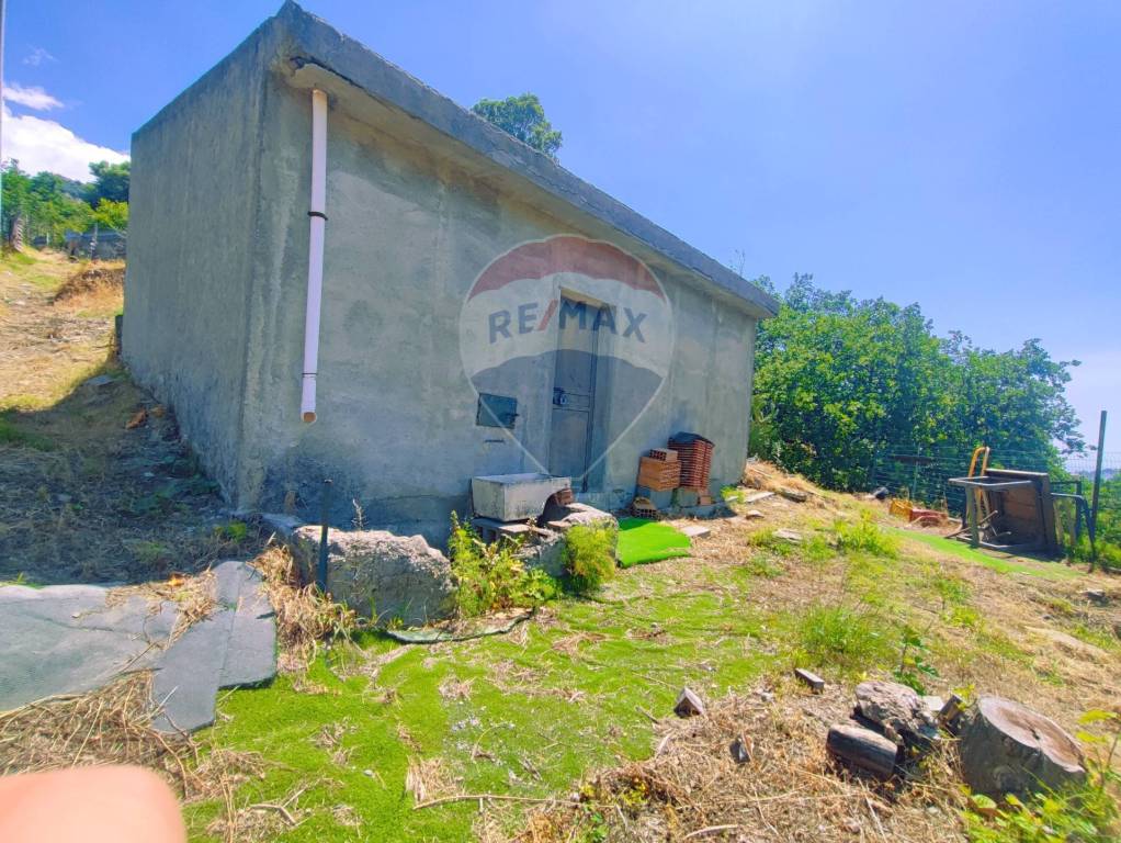 immagine annuncio 5 di 14