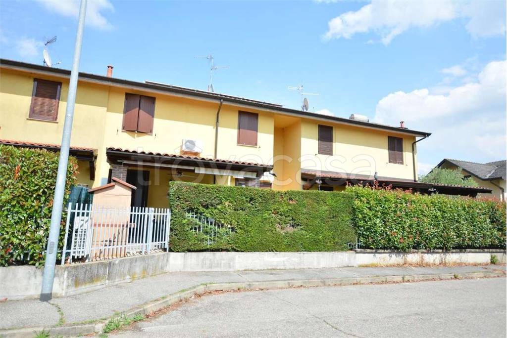 immagine annuncio 2 di 15