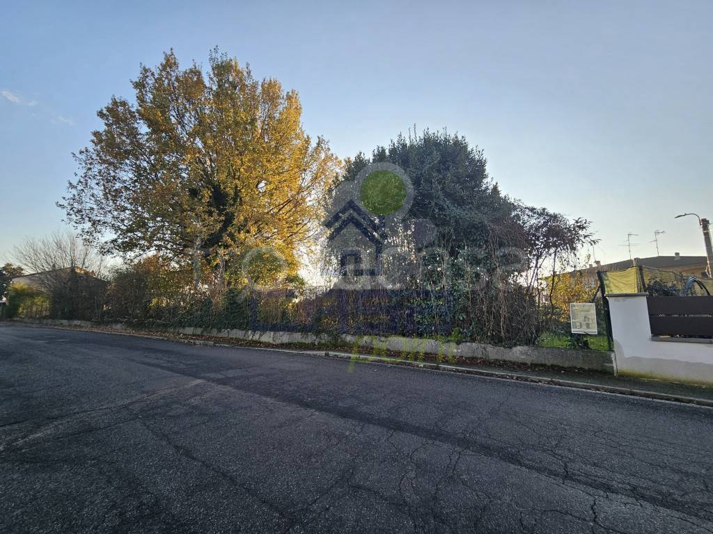 immagine annuncio 10 di 11