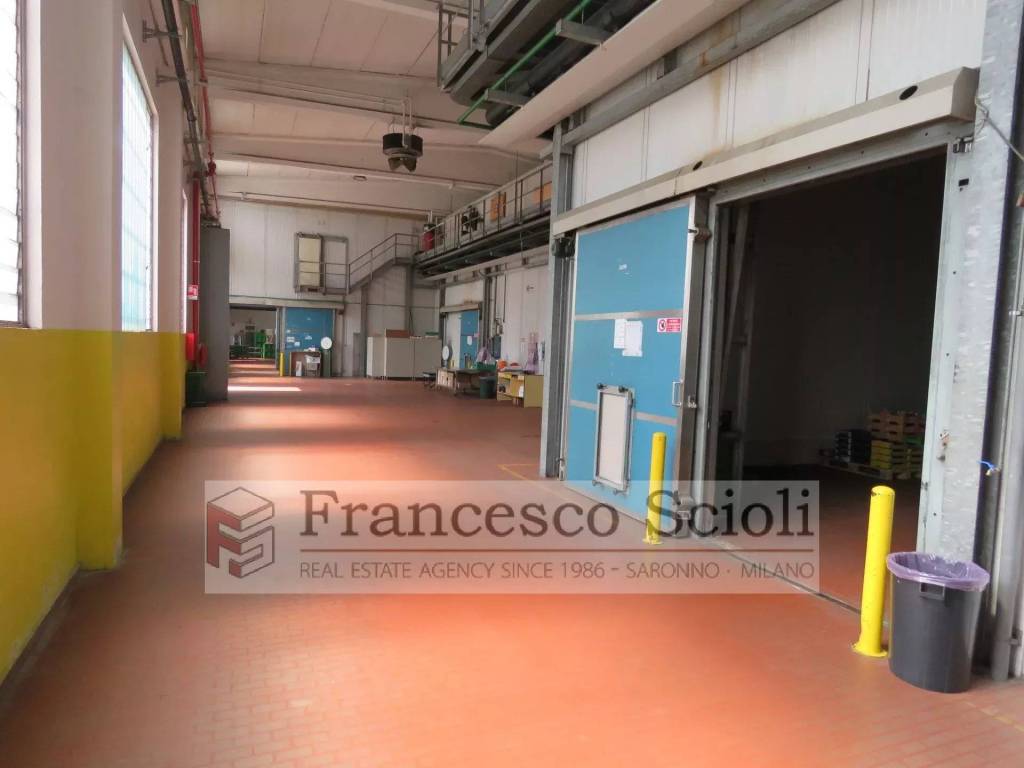 immagine annuncio 2 di 9