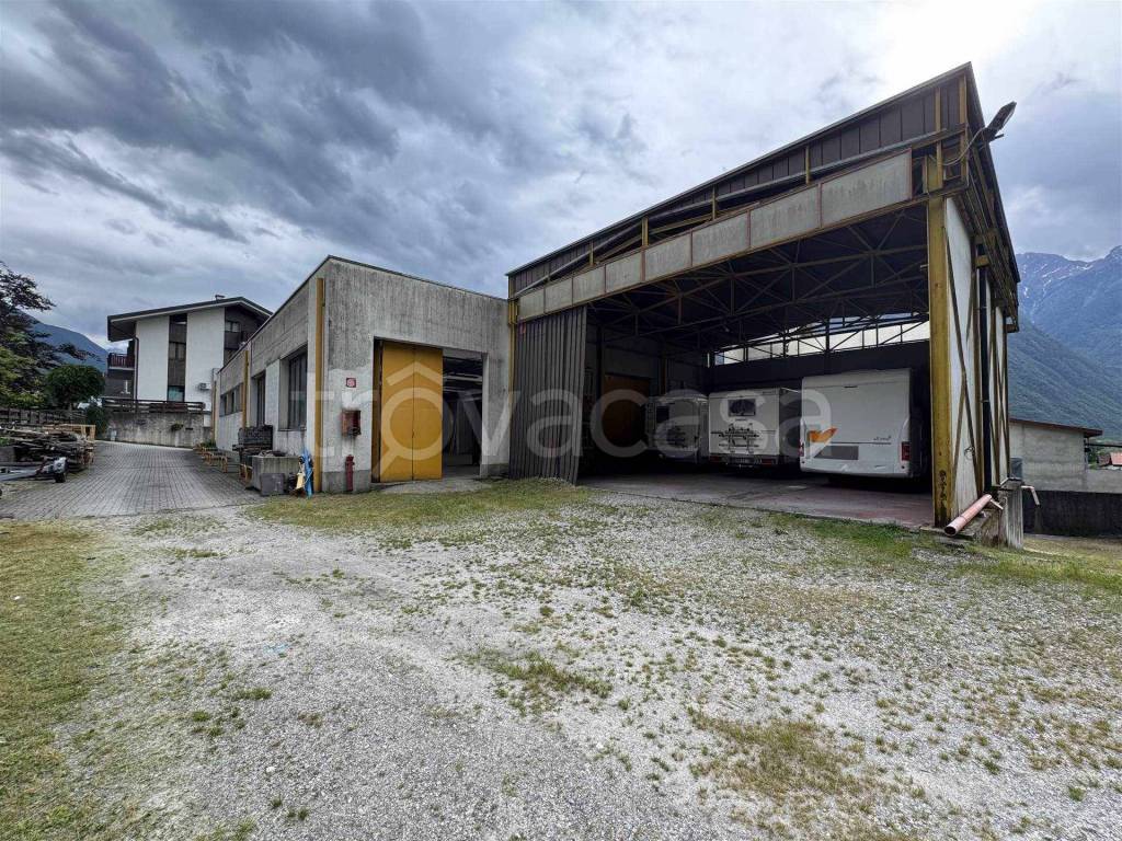 immagine annuncio 2 di 15