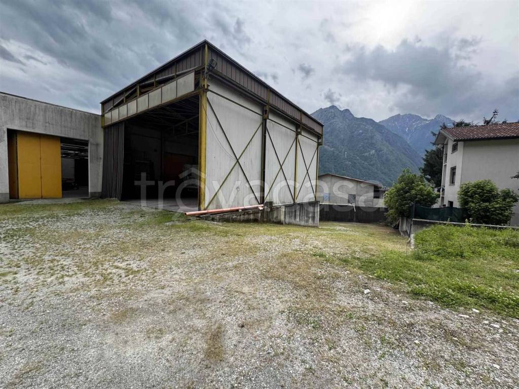 immagine annuncio 4 di 15