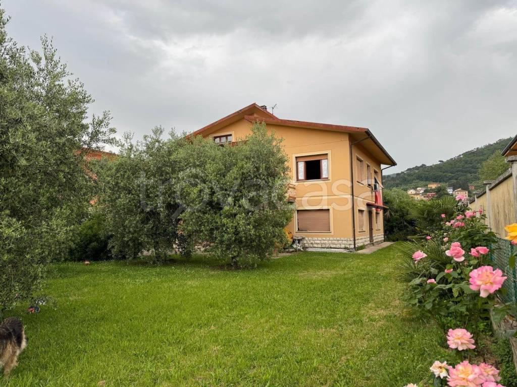 immagine annuncio 5 di 8