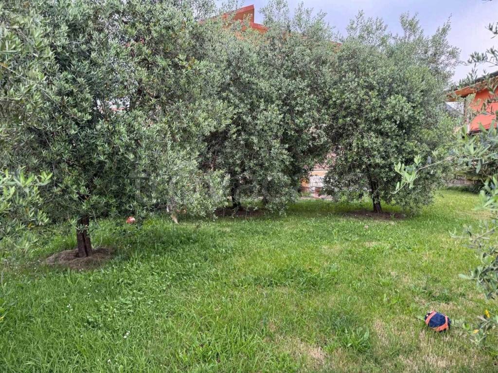 immagine annuncio 6 di 8