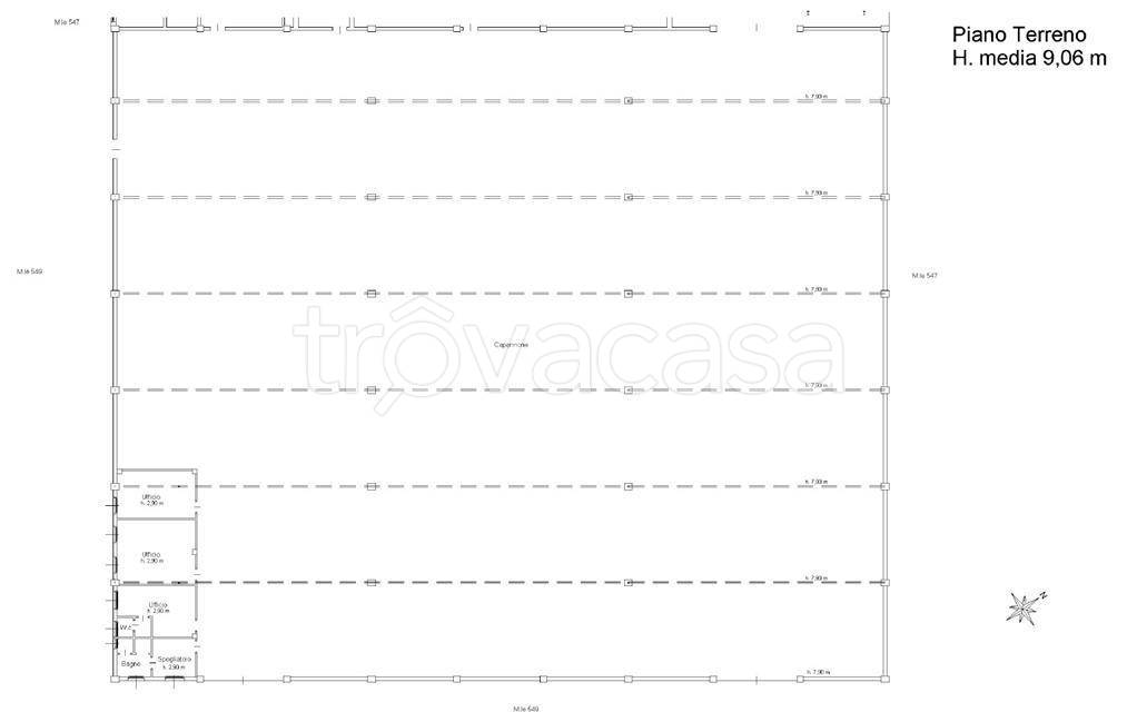 immagine annuncio 2 di 7