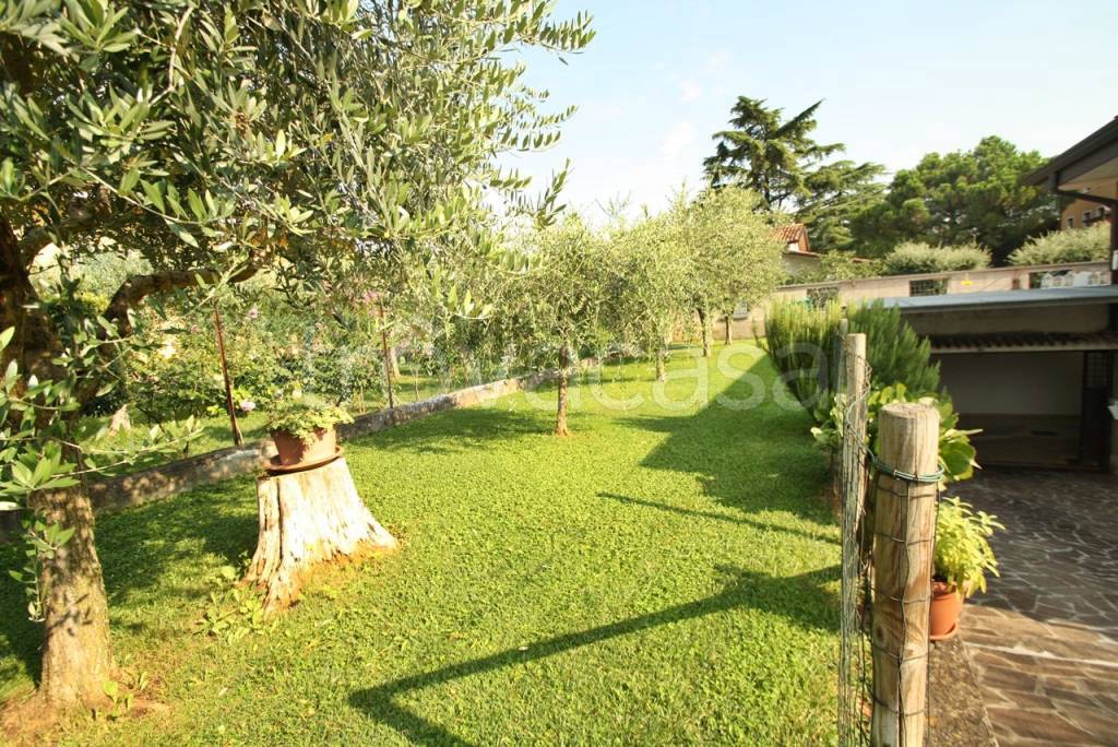 immagine annuncio 3 di 15