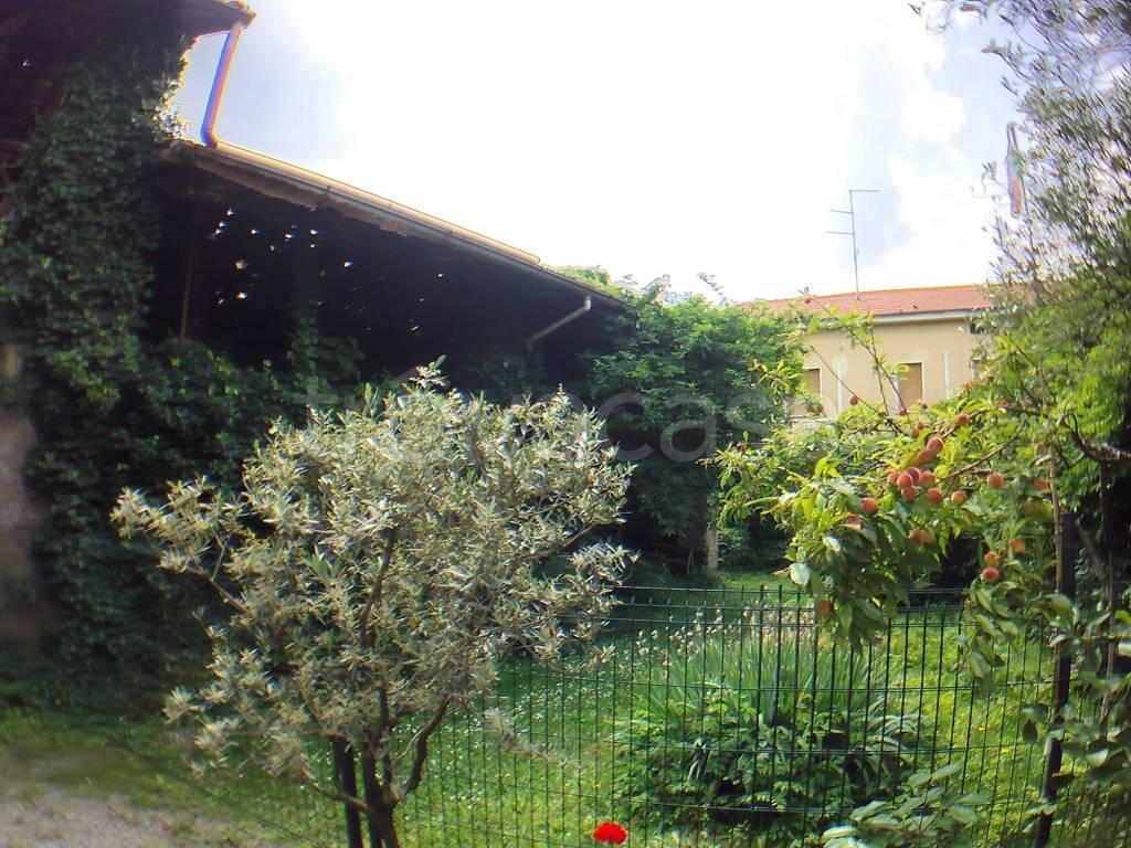 immagine annuncio 7 di 15