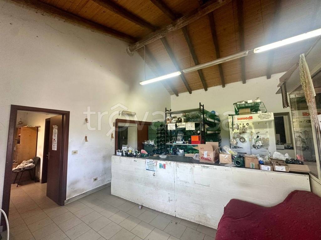 immagine annuncio 1 di 12