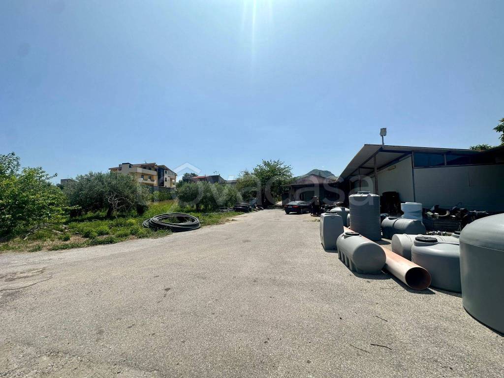 immagine annuncio 11 di 12