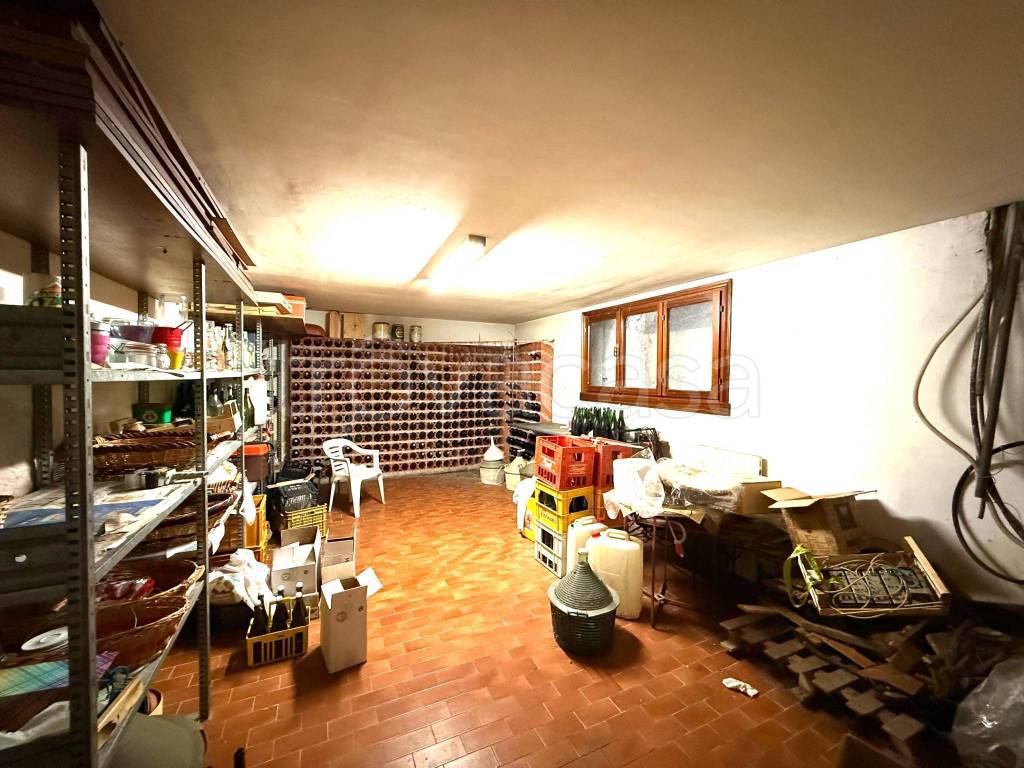 immagine annuncio 11 di 14