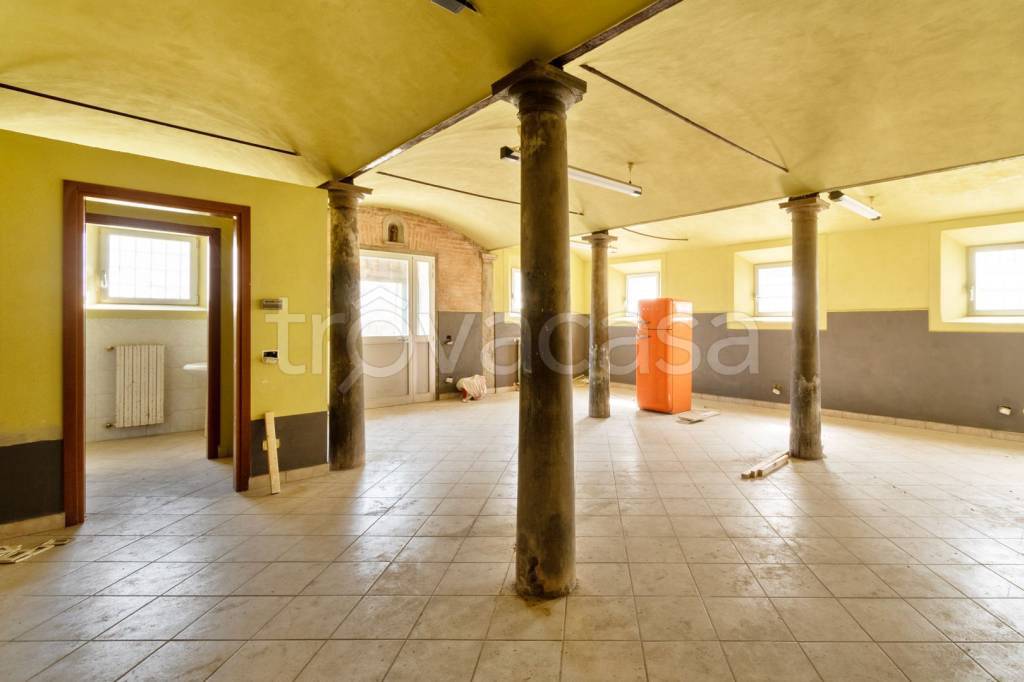 immagine annuncio 3 di 11