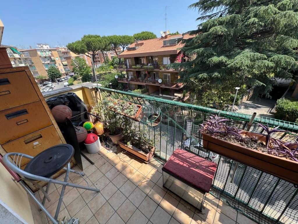 immagine annuncio 11 di 14