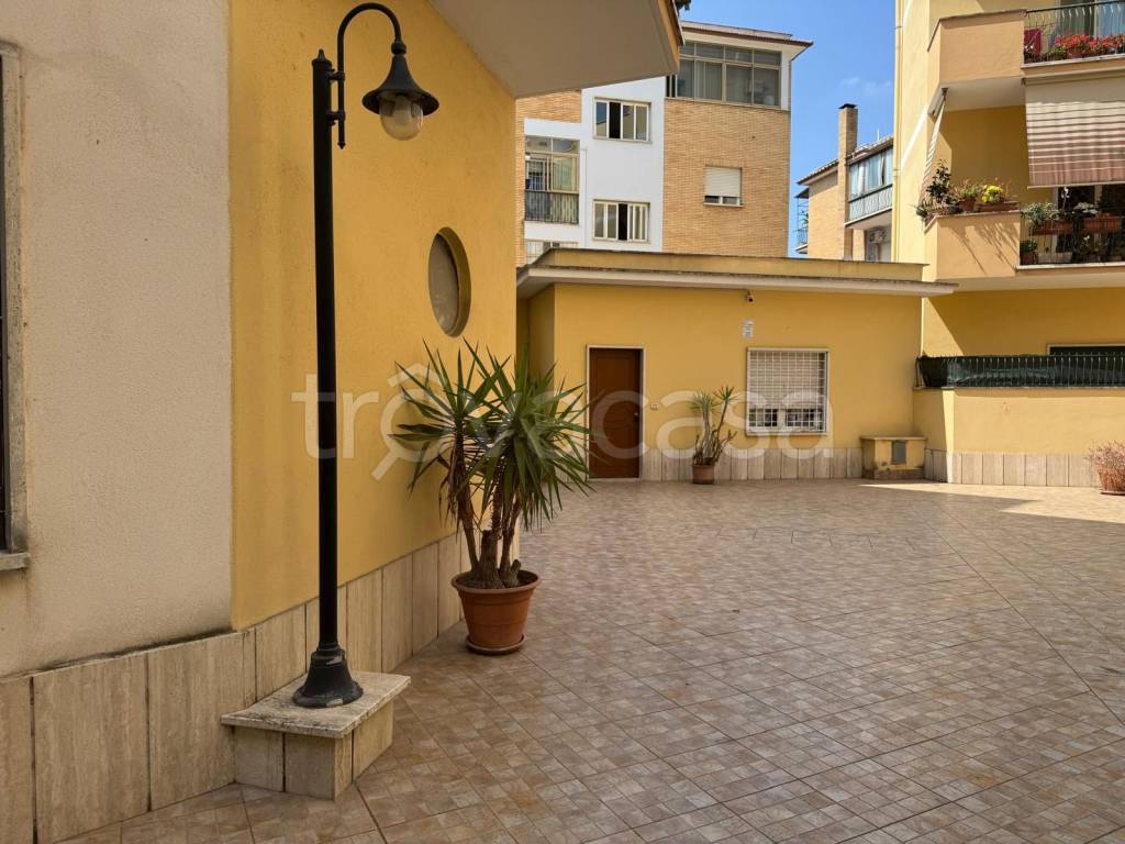 immagine annuncio 12 di 14