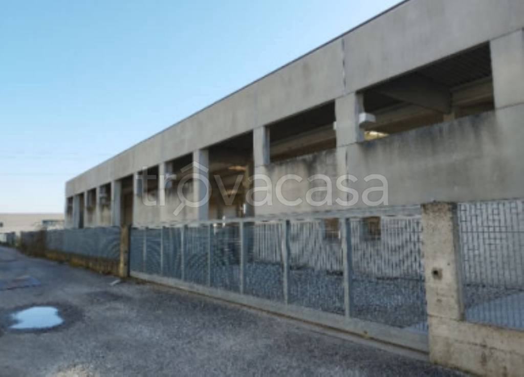 immagine annuncio 3 di 11
