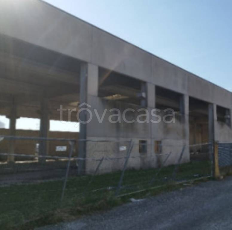 immagine annuncio 5 di 11