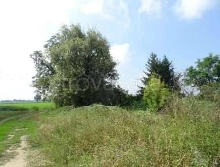immagine annuncio 4 di 13