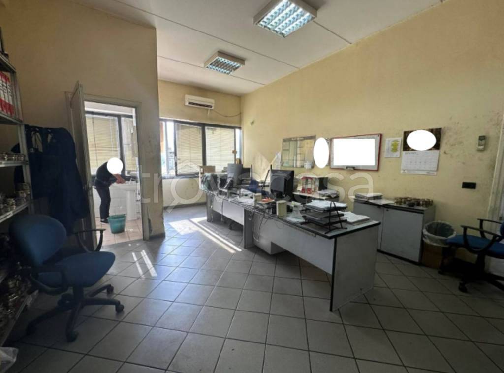 immagine annuncio 9 di 11
