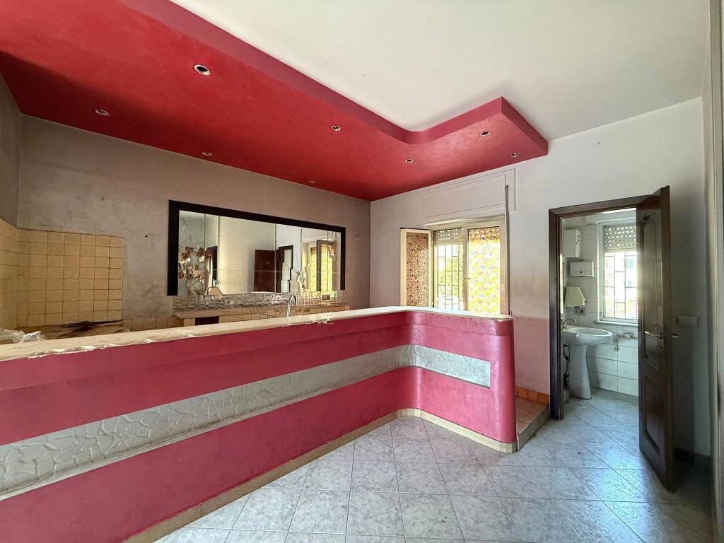 immagine annuncio 6 di 14